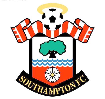 动会看到了 动会看到了